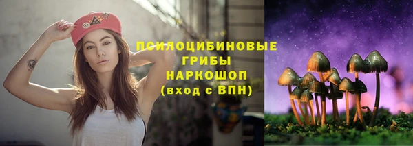 бошки Горнозаводск