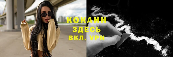 2c-b Горняк