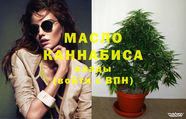 2c-b Горняк